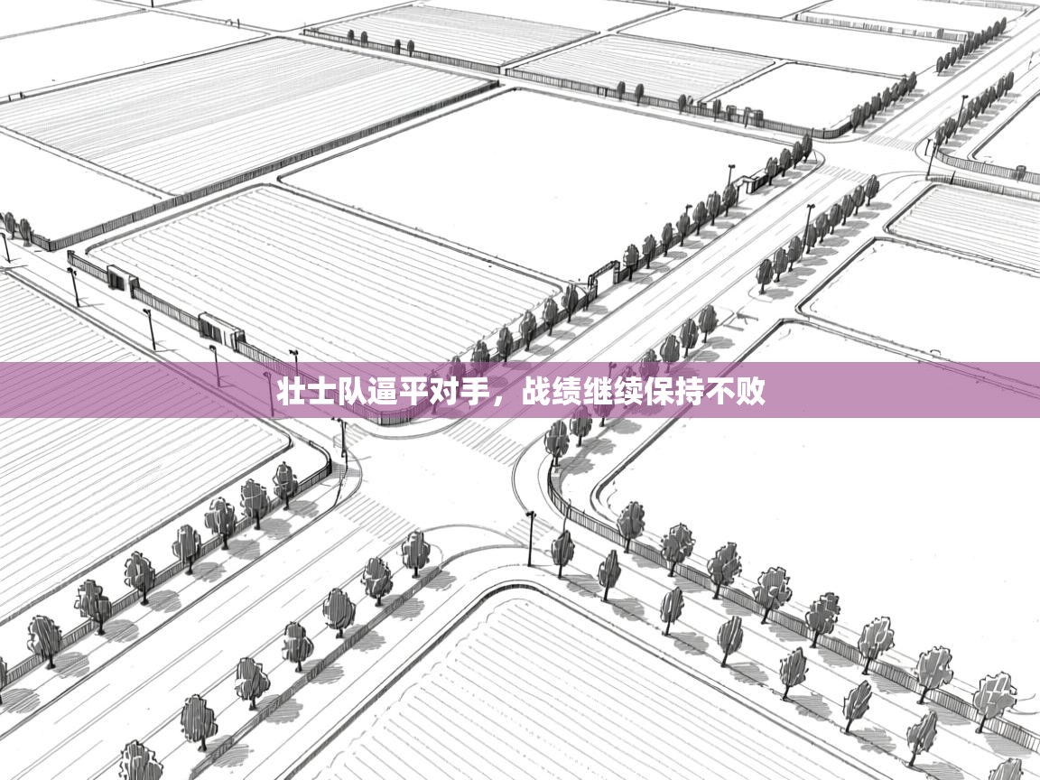 壮士队逼平对手，战绩继续保持不败