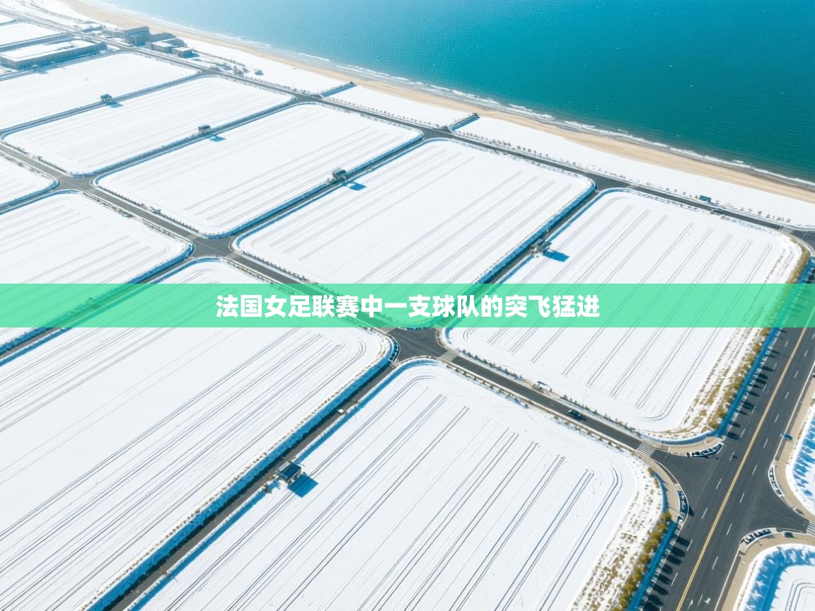 法国女足联赛中一支球队的突飞猛进