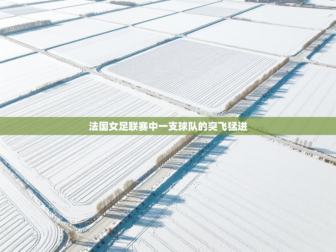 法国女足联赛中一支球队的突飞猛进