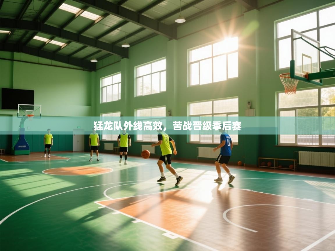 猛龙队外线高效，苦战晋级季后赛