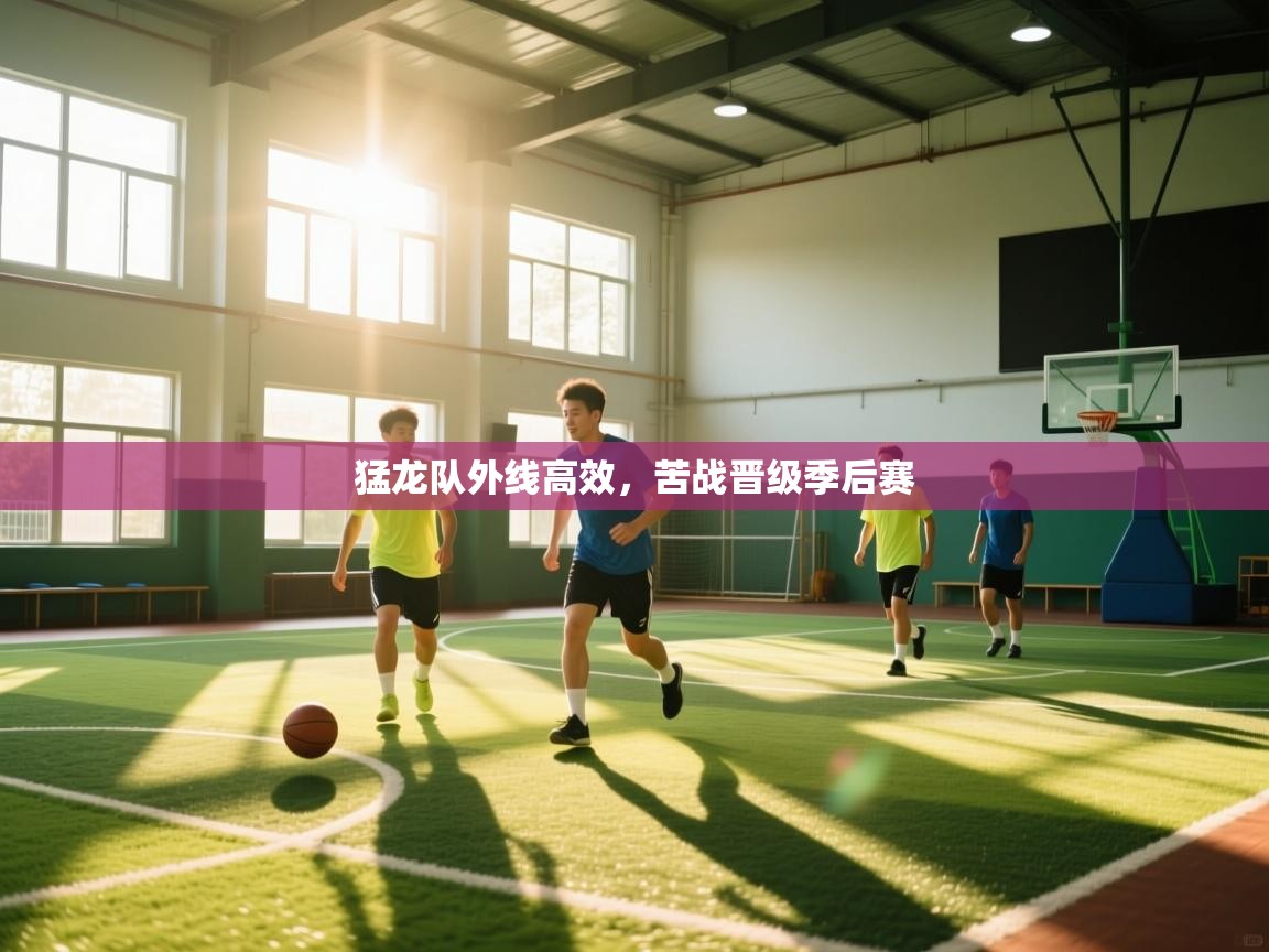猛龙队外线高效，苦战晋级季后赛