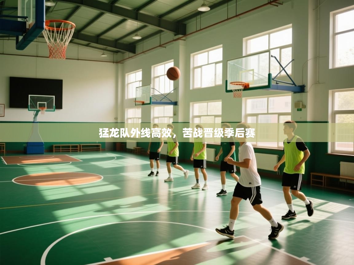 猛龙队外线高效，苦战晋级季后赛