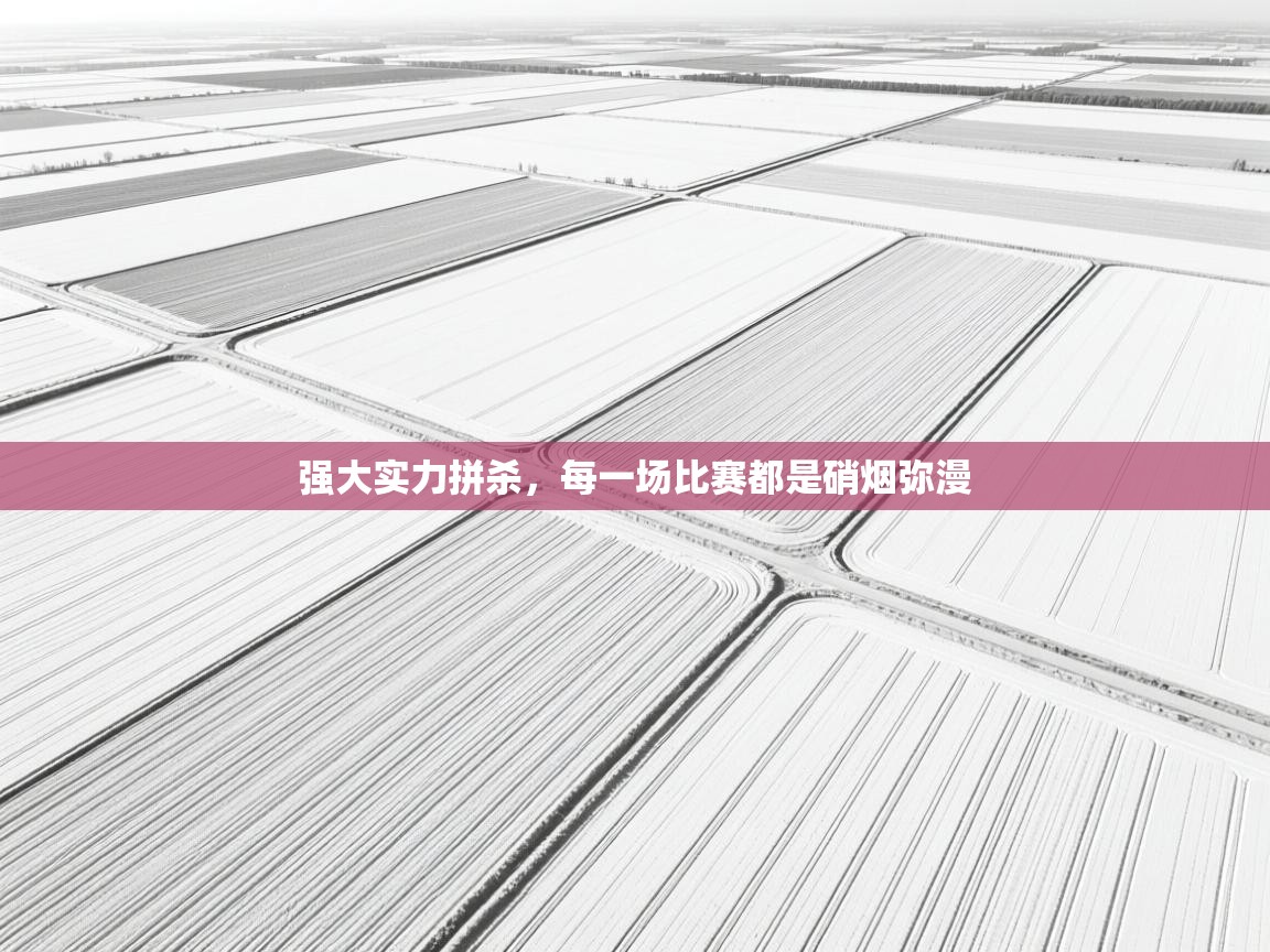 开云体育在线网址-强大实力拼杀,每一场比赛都是硝烟弥漫 第1张