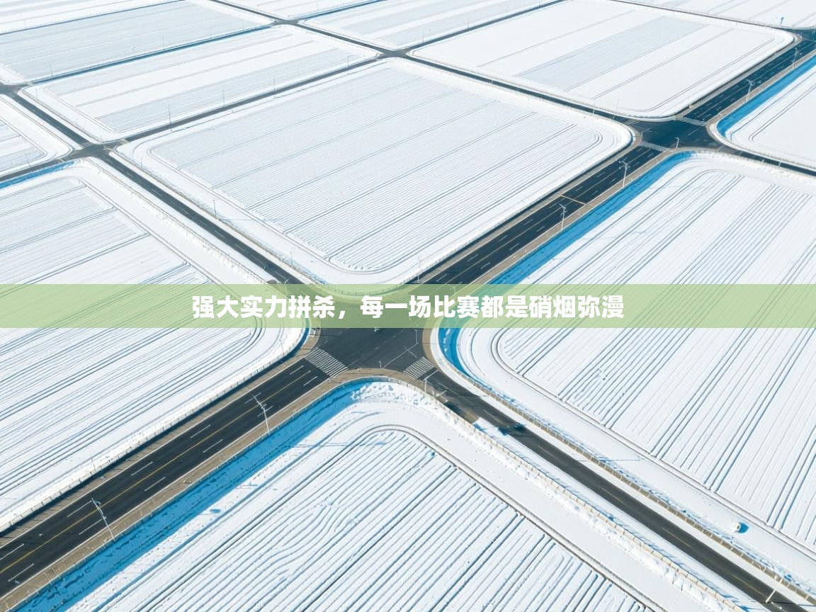 开云体育在线网址-强大实力拼杀,每一场比赛都是硝烟弥漫 第2张