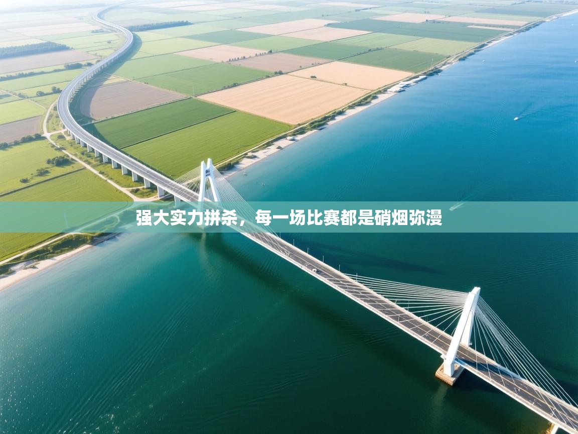 开云体育在线网址-强大实力拼杀,每一场比赛都是硝烟弥漫 第4张