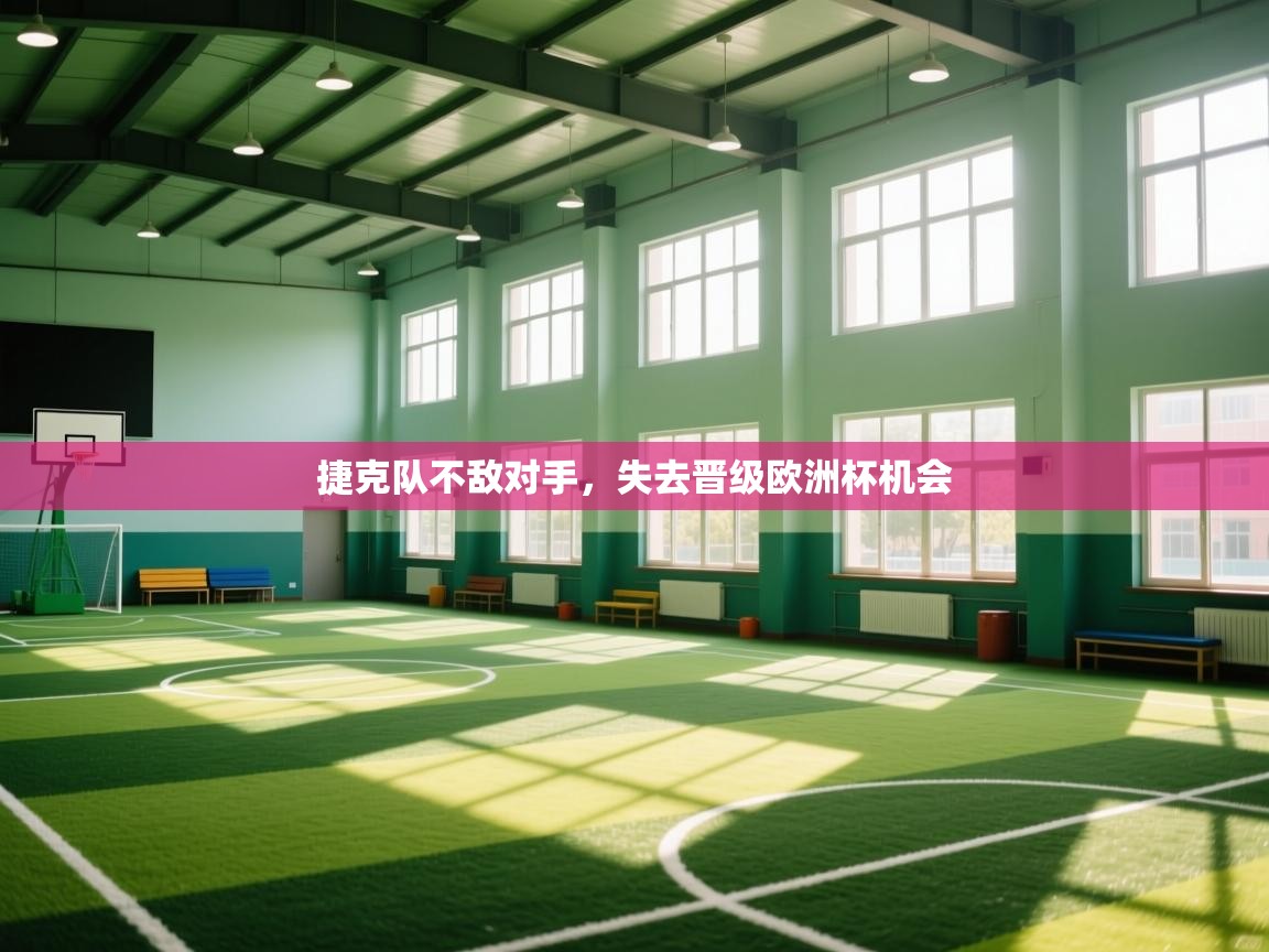 开云体育在线登入-捷克队不敌对手,失去晋级欧洲杯机会 第1张