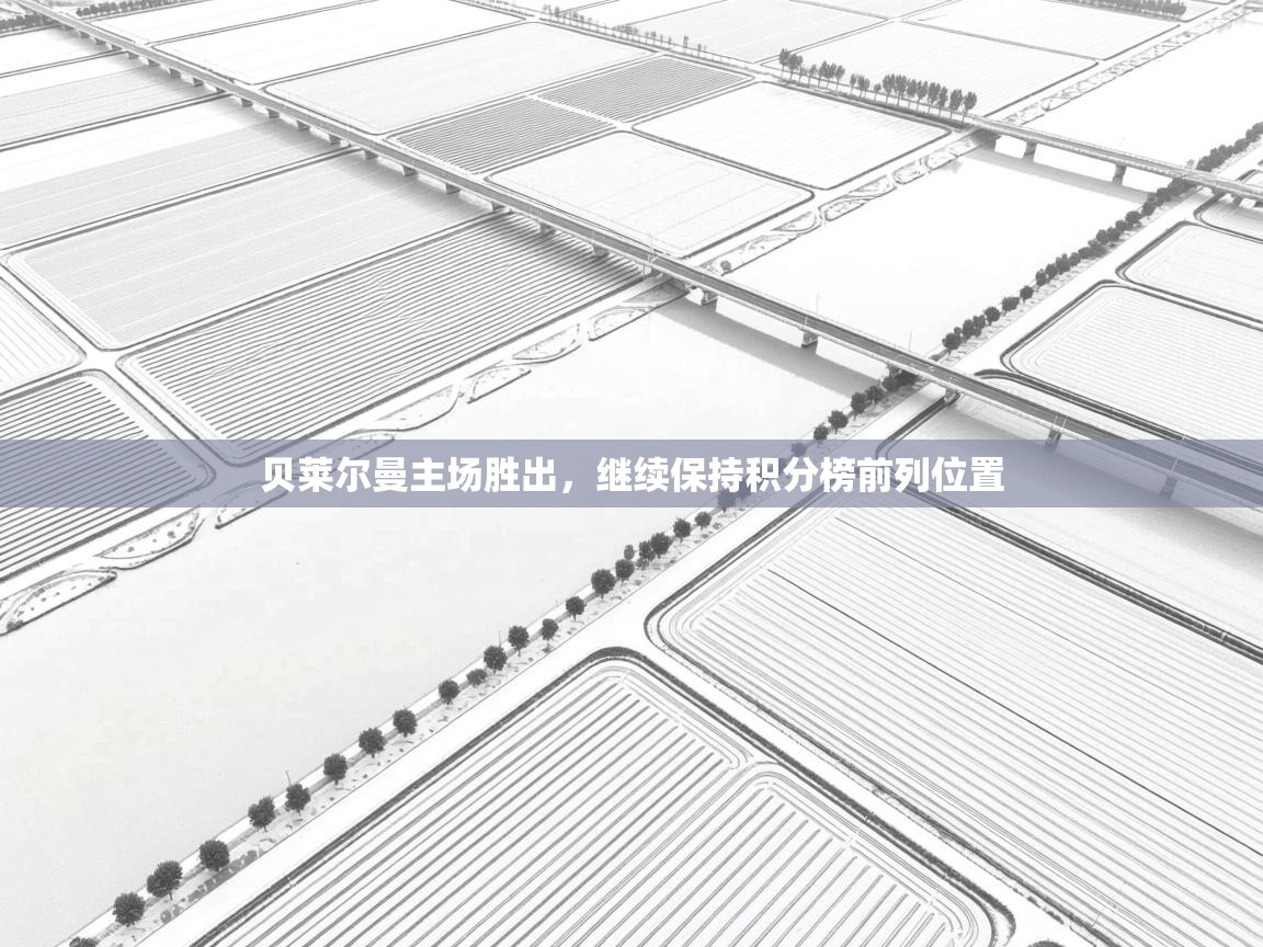 云开体育app官网入口-贝莱尔曼主场胜出,继续保持积分榜前列位置 第4张