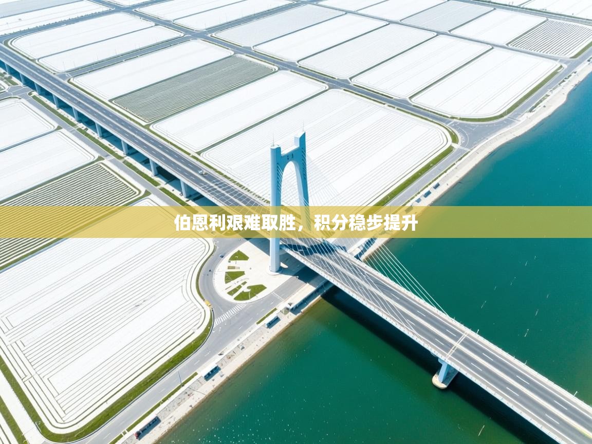 开云体育入口手机版-伯恩利艰难取胜,积分稳步提升 第1张