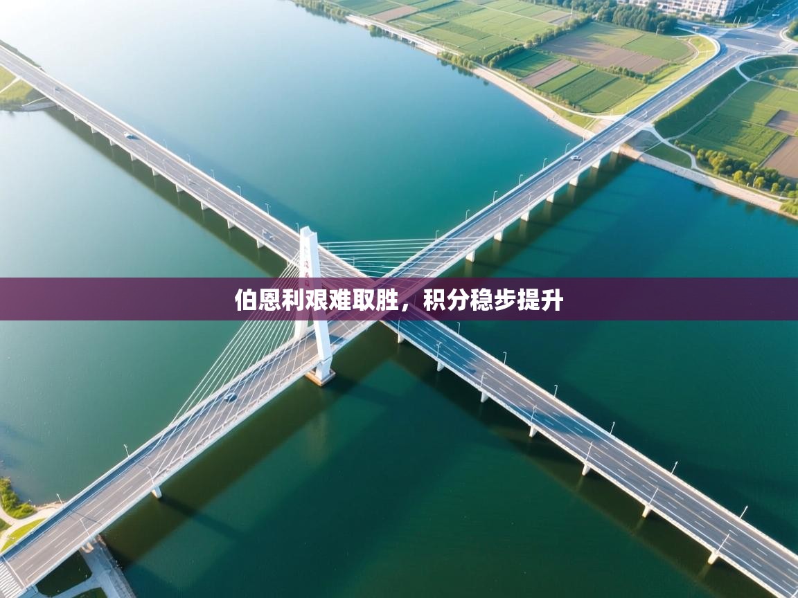 开云体育入口手机版-伯恩利艰难取胜,积分稳步提升 第4张