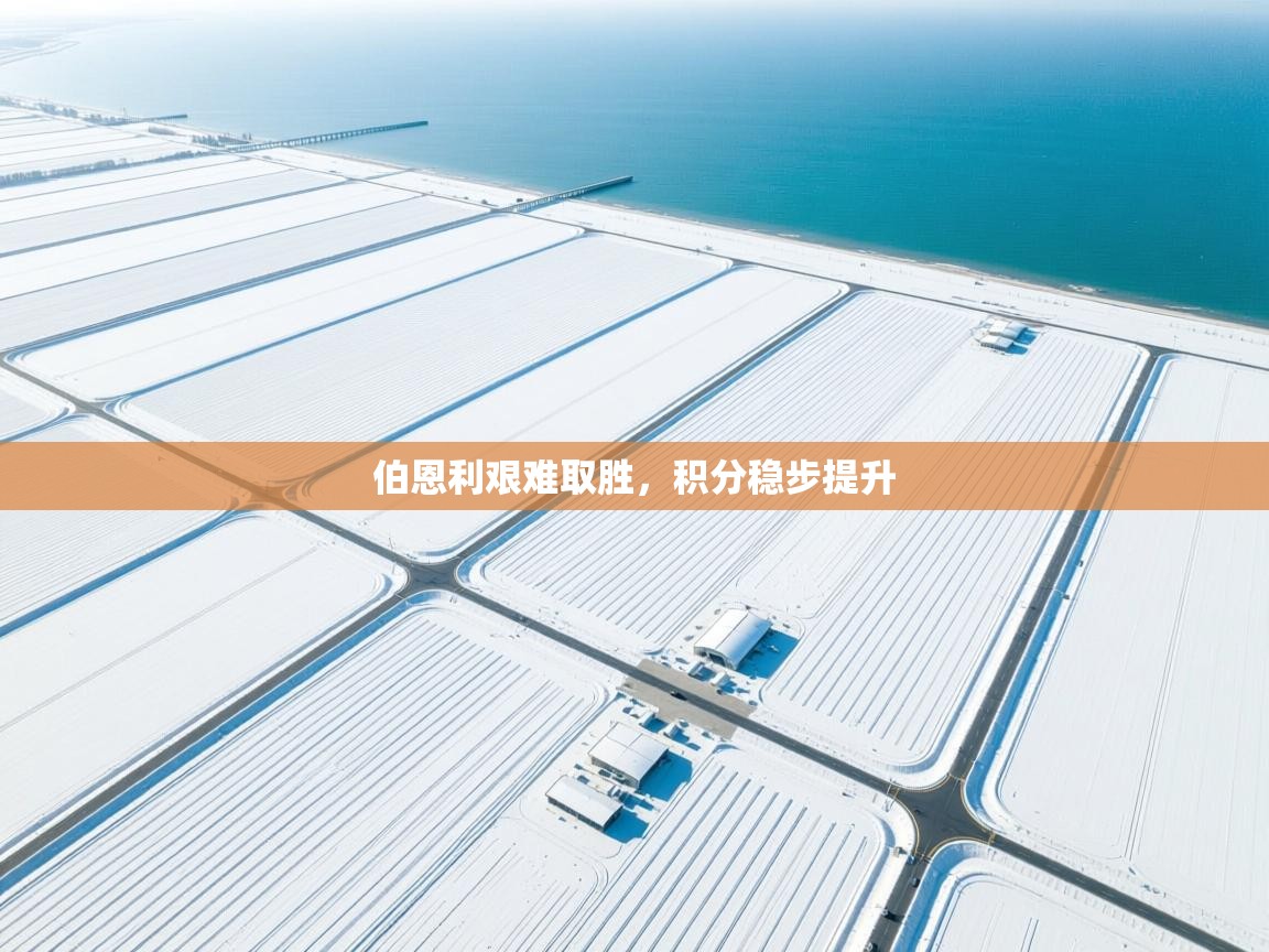 开云体育入口手机版-伯恩利艰难取胜,积分稳步提升 第3张